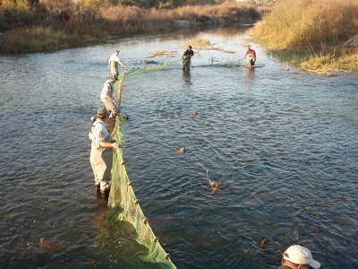 People holding a large net in water